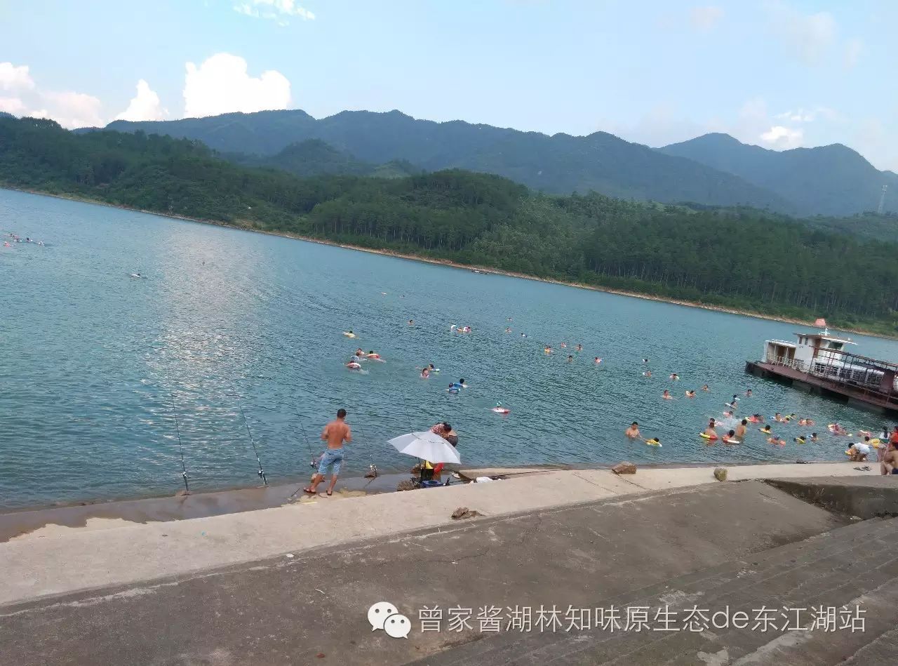 东江湖里的-钓鱼季