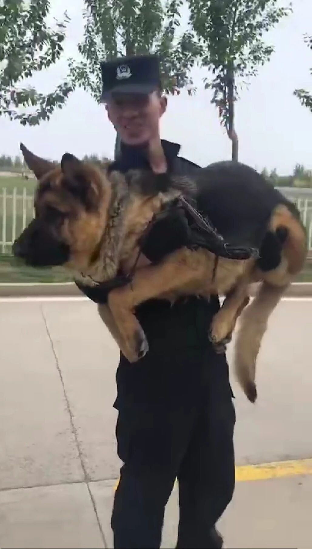 你还没看？百万网友围观的警犬“毕业”大考！-2