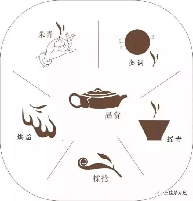 采青→萎凋→摇青→揉捻→烘焙又称青茶 是中国六大茶类中 独具鲜明