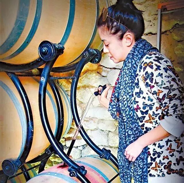廖碧儿忽然富贵?投资千万买法国酒庄