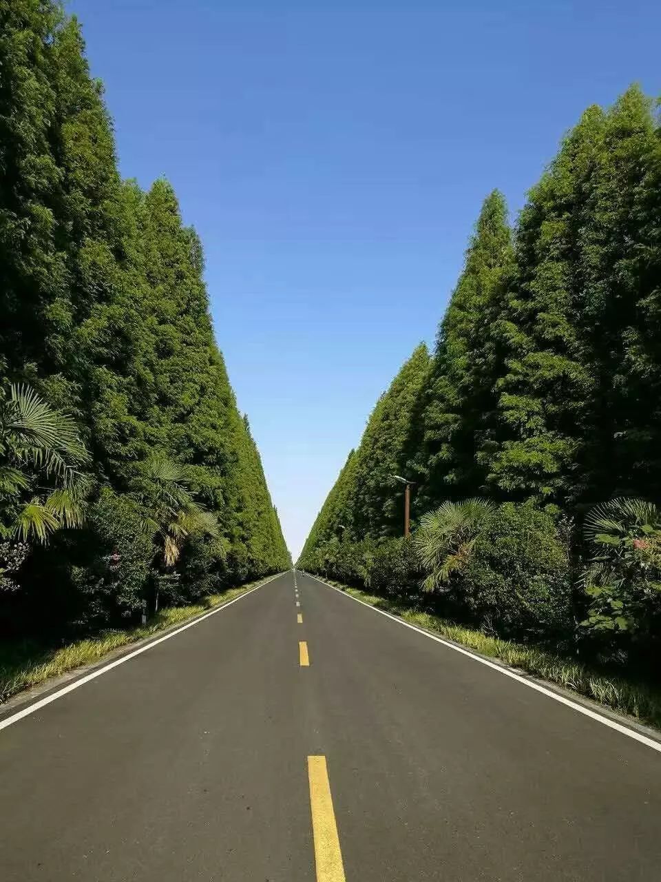 Wi-Fi的未来