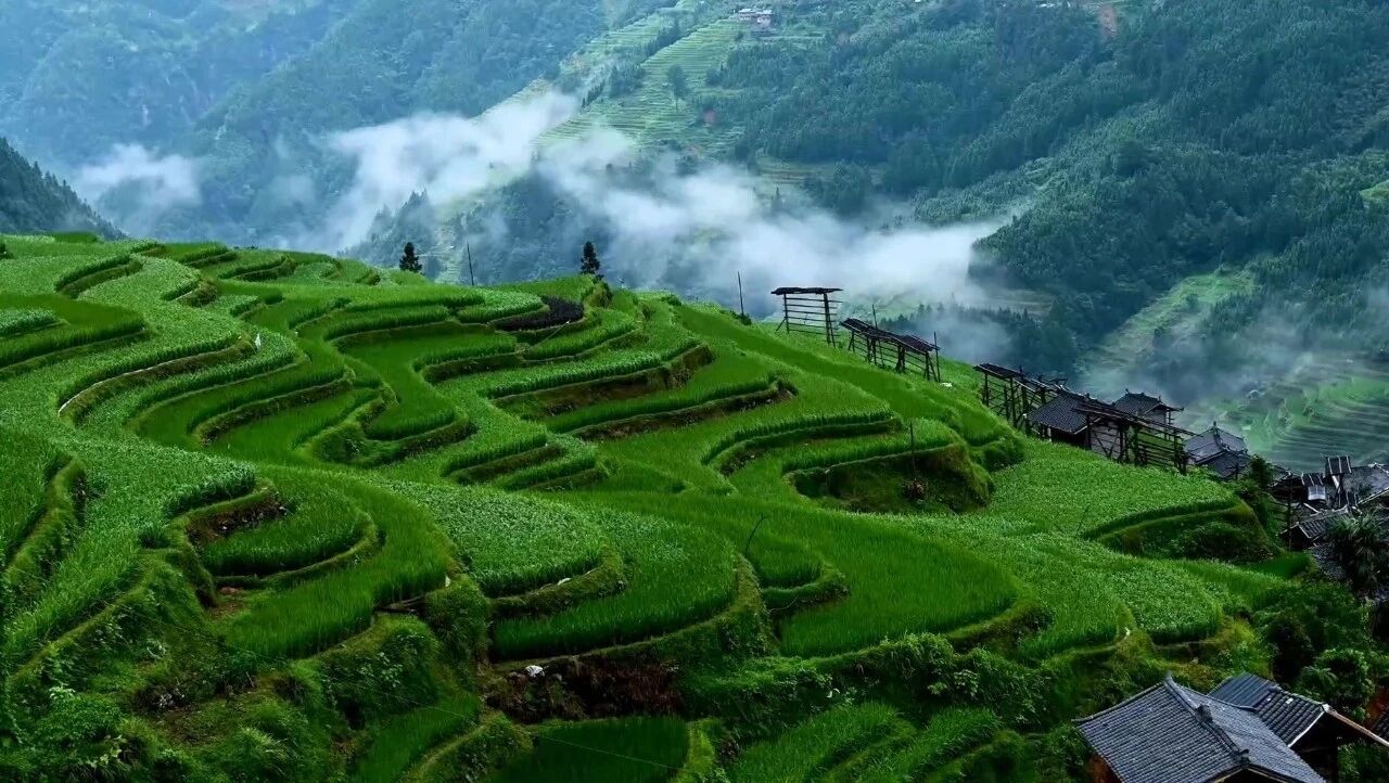 又见炊烟（唯美深情！）