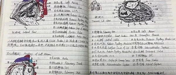 川大医学生教科书级笔记走红 网友誉称 医学界的灵魂画手 医脉圈beauty 微信公众号文章阅读 Wemp