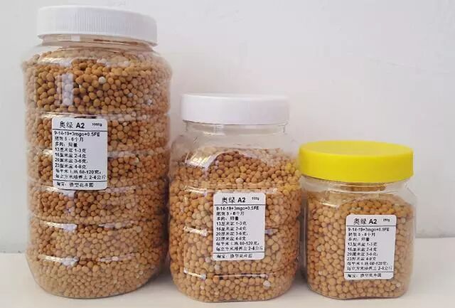 植物容易烂根？那就施个肥吧