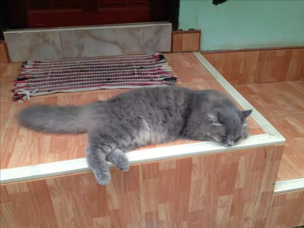 Mycat读写分离配置实践