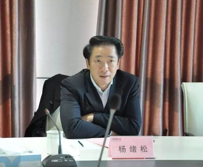 杨绪松市长率团赴上海考察伟创力公司,全通金融谷,迪士尼主题乐园
