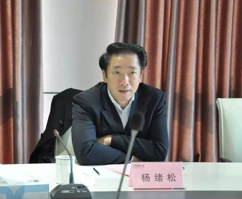 杨绪松市长率团赴上海考察伟创力公司,全通金融谷,迪士尼主题乐园
