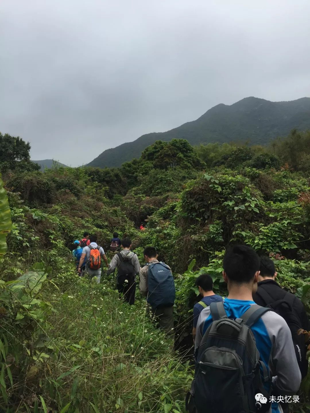 陌上花开——排牙山行记3.18-深圳-驴友大厅-两步路社区