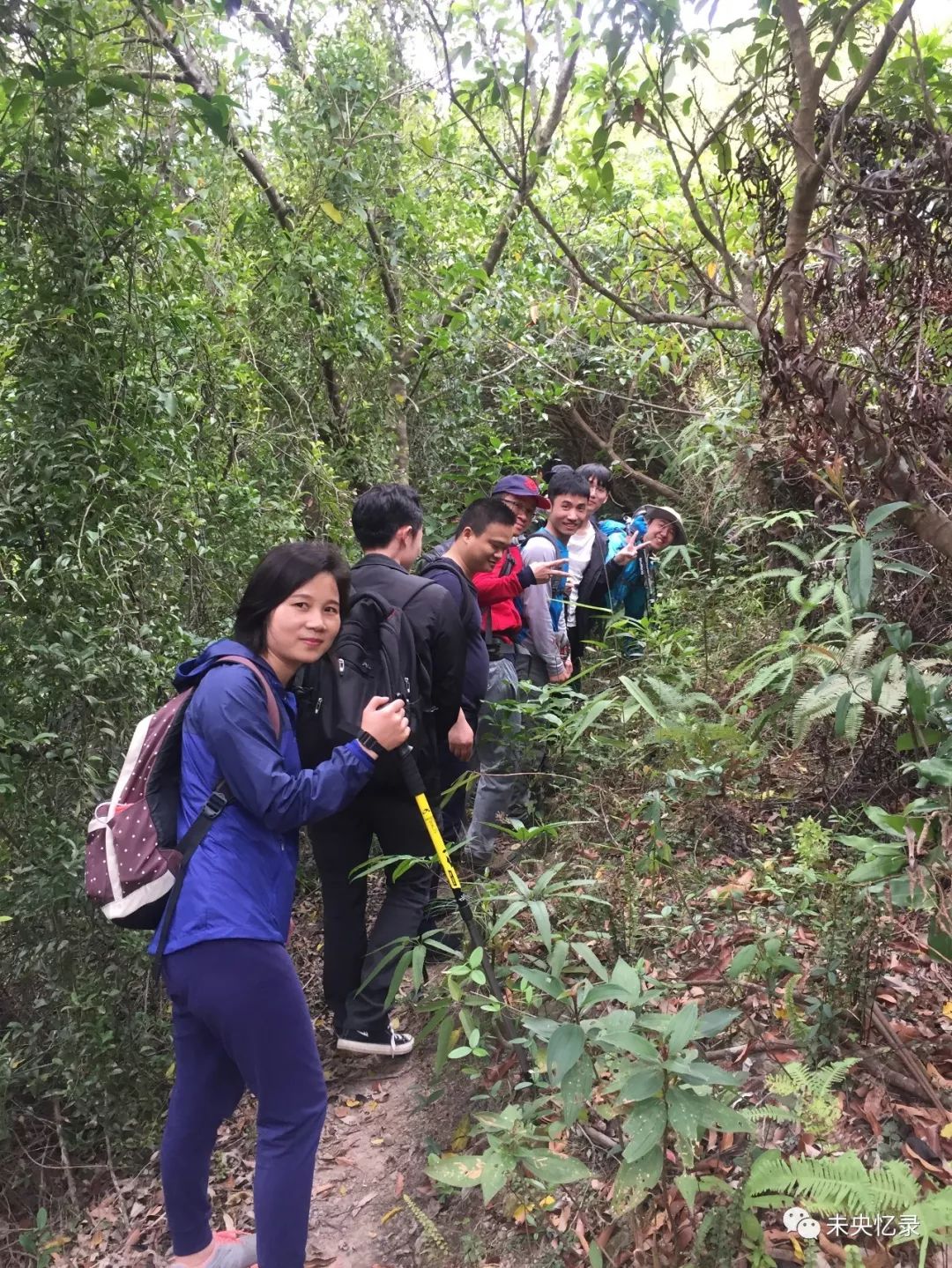 陌上花开——排牙山行记3.18-深圳-驴友大厅-两步路社区