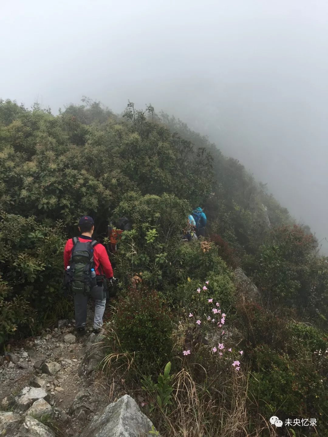 陌上花开——排牙山行记3.18-深圳-驴友大厅-两步路社区