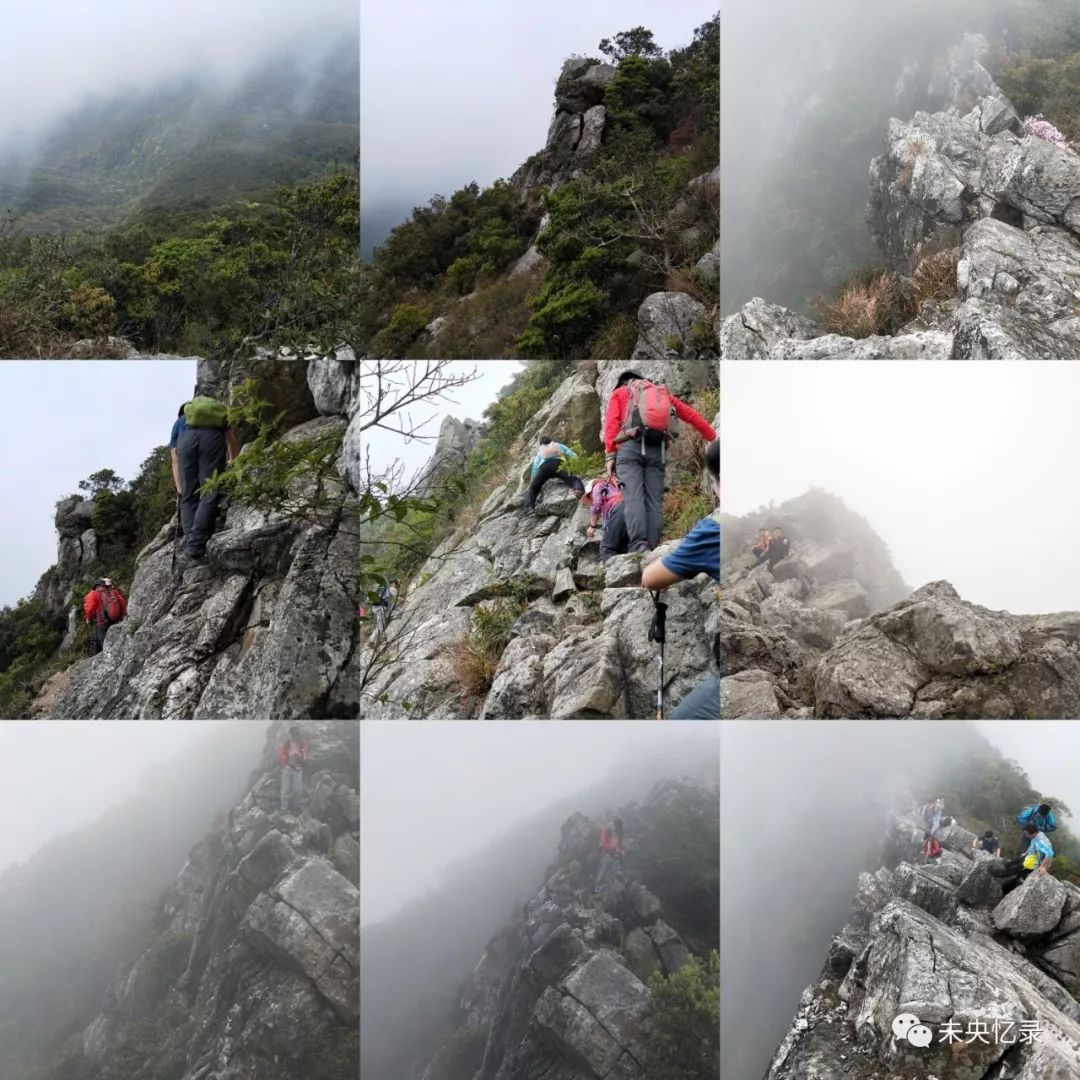 陌上花开——排牙山行记3.18-深圳-驴友大厅-两步路社区