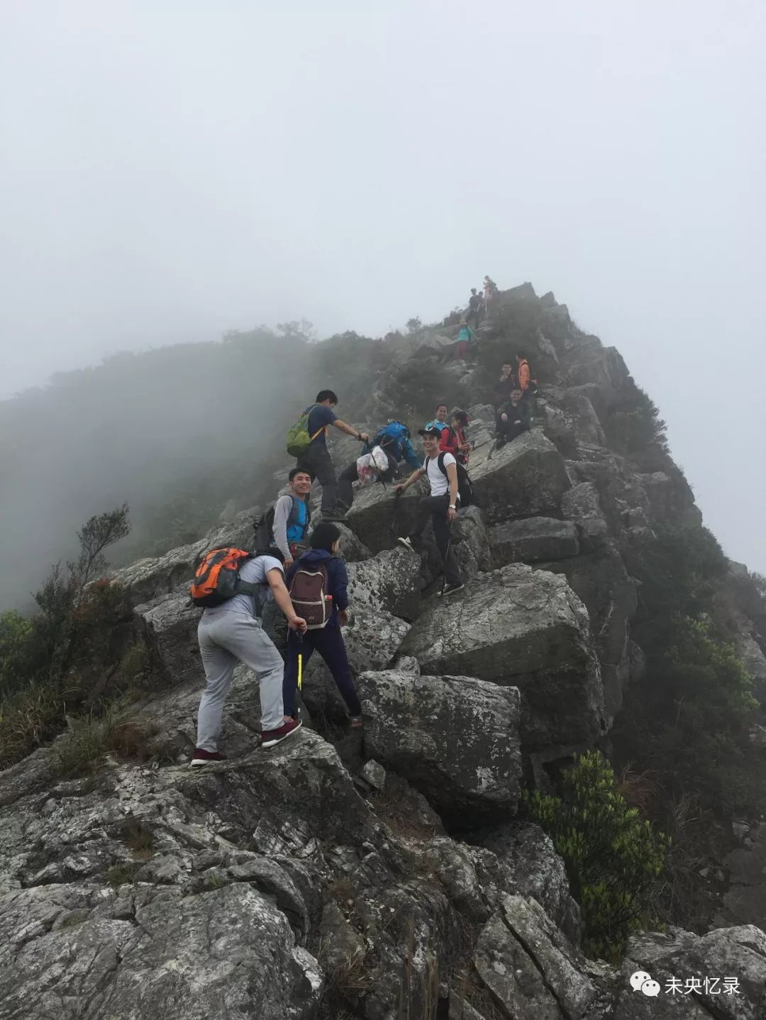 陌上花开——排牙山行记3.18-深圳-驴友大厅-两步路社区