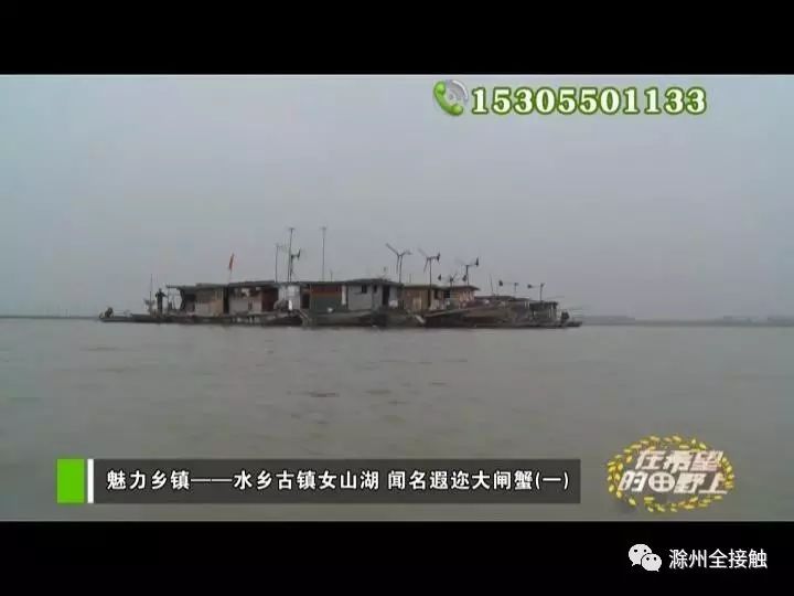 【在希望的田野上】女山湖的大闸蟹,红琊山的跑山猪,原来我们滁州物产
