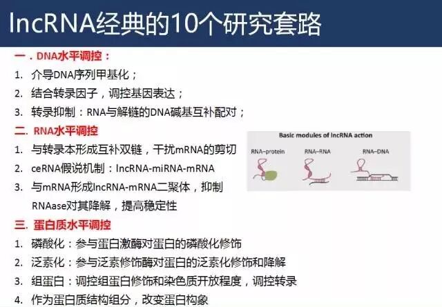 研究LncRNA的经典研究套路