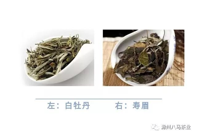 陈年白牡丹和老寿眉如何煮出药香味?