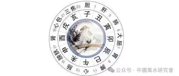 十分钟看懂《黄帝内经》，受益终身！