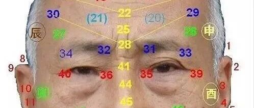 相术（实战）心得