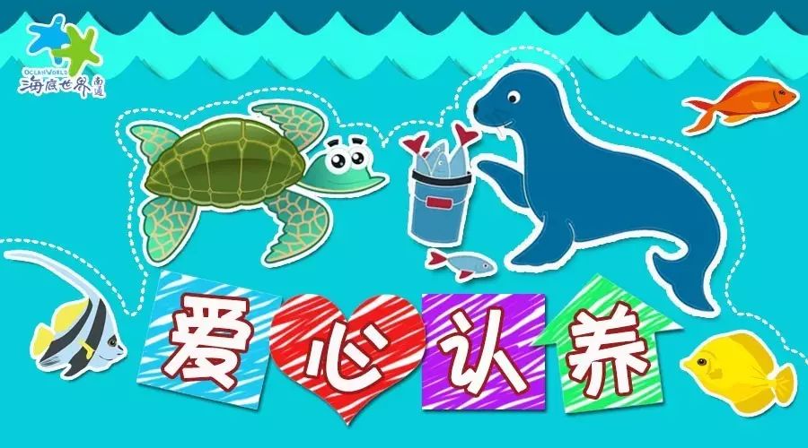 世间海底生物_海底世界的生物千奇百怪_海底世界有哪些海底生物