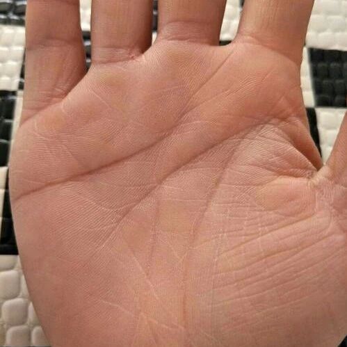 女人右手断掌大富大贵 女人断掌金钱运势