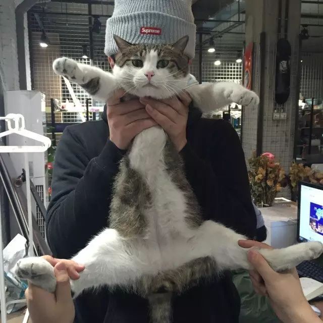 潮流先锋内容编辑