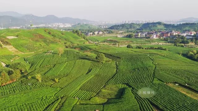 上城埭村