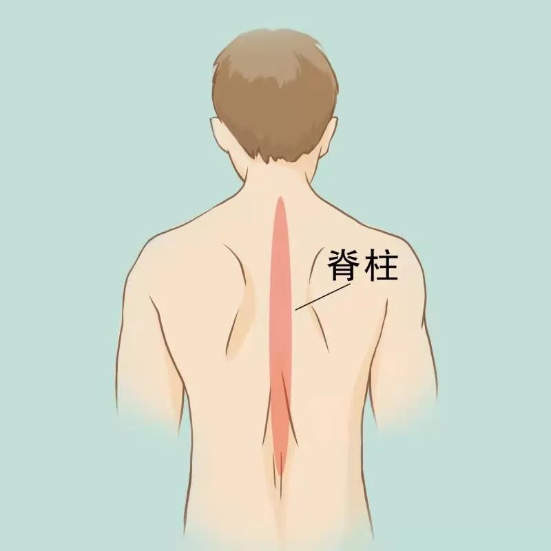 后背疼与多种病有关一张疼痛位置图解看得明明白白