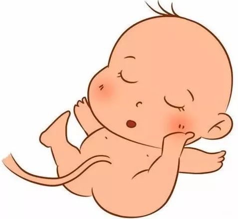 预防出生缺陷---防卫胎儿"心"健康 河南省新乡市第一人民医院 新生