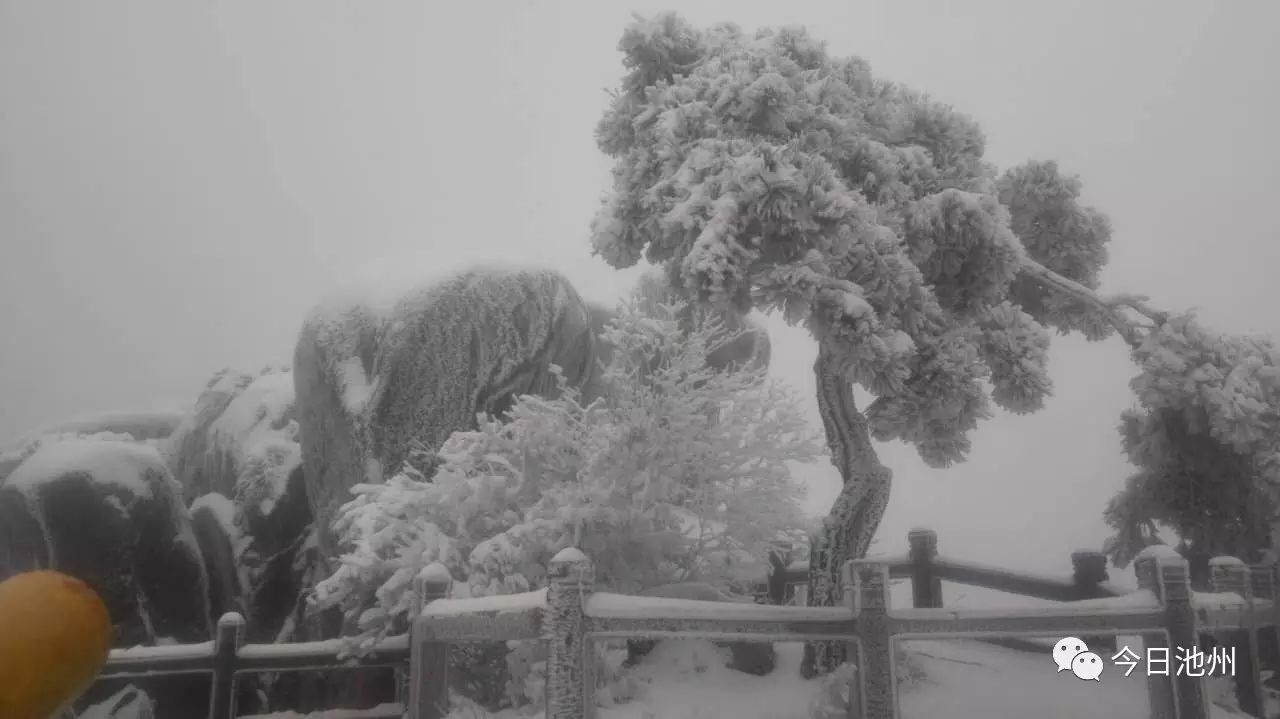 九华山天气预报