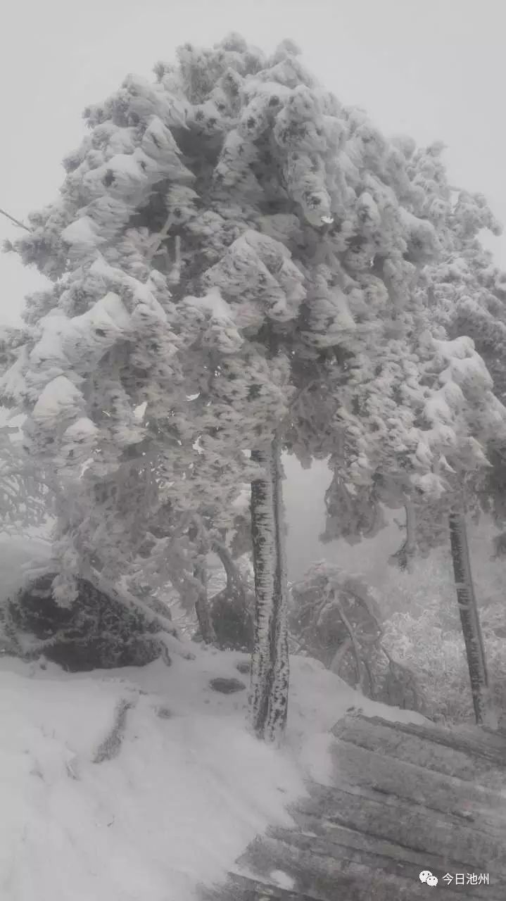 九华山天气预报