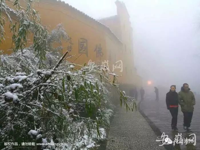 九华山天气预报