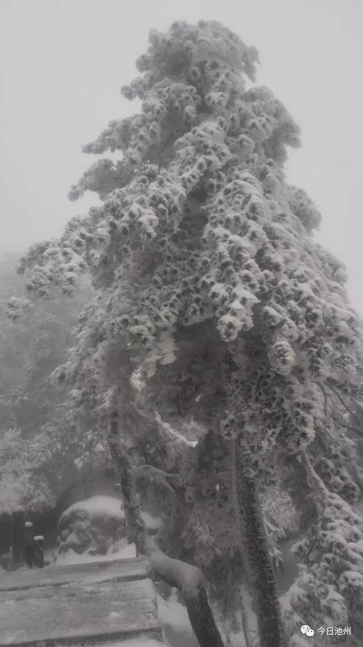 九华山天气预报