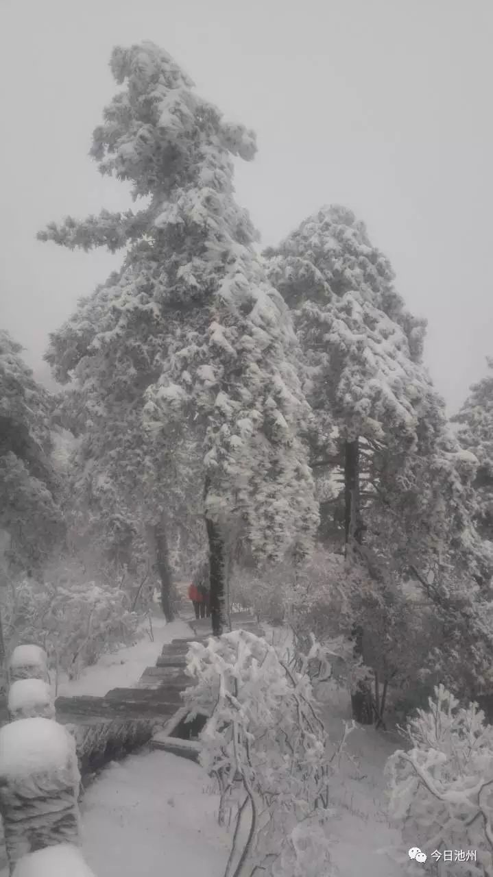 九华山天气预报