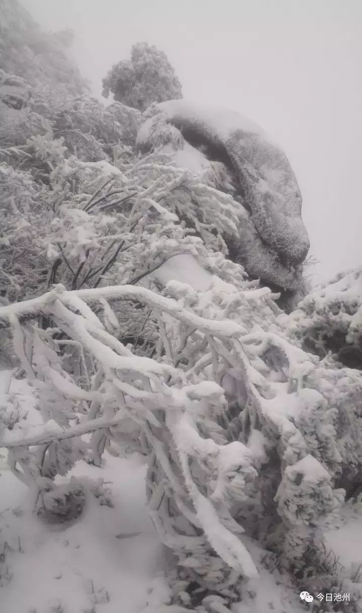 九华山天气预报