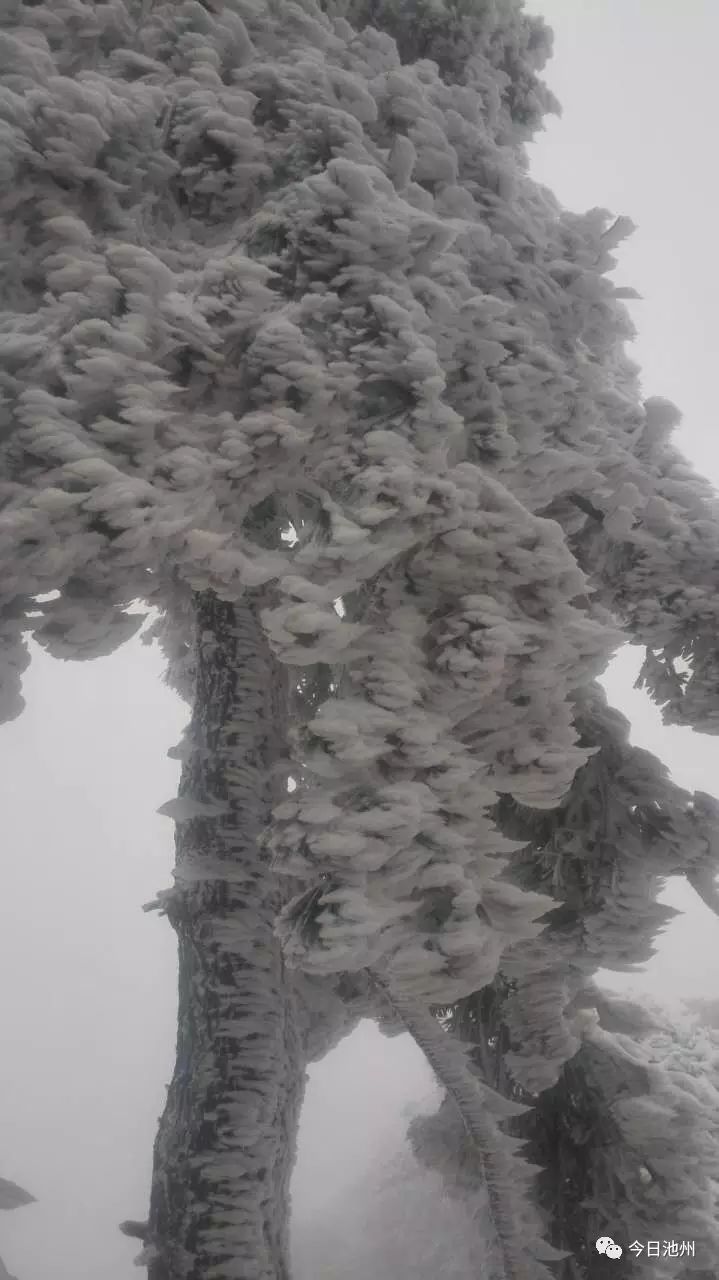 九华山天气预报