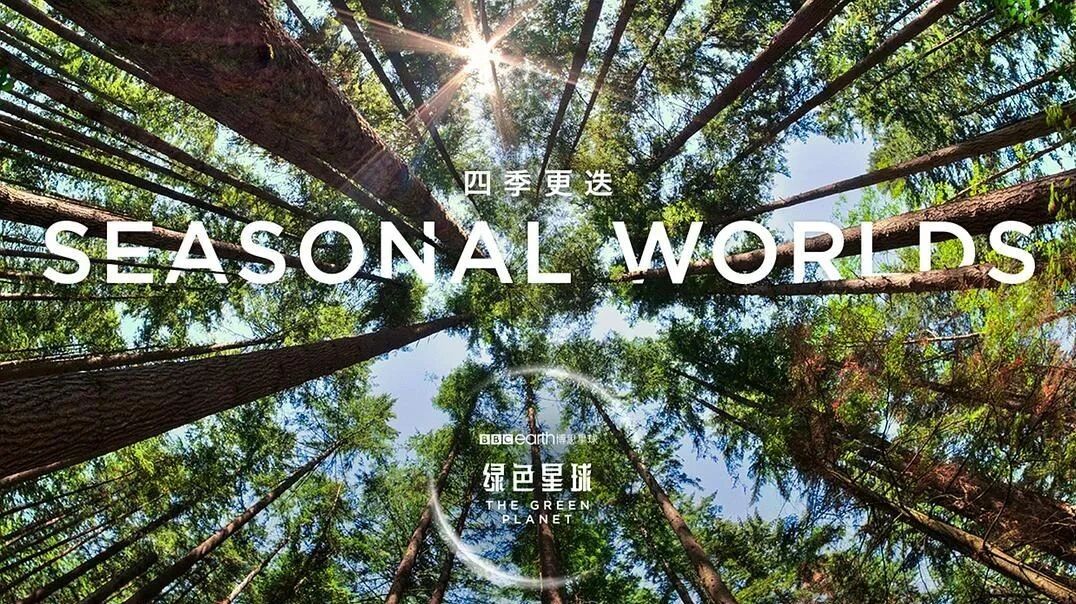 NO.3 四季更迭⭐纪录片丨《绿色星球》（附视频）-3