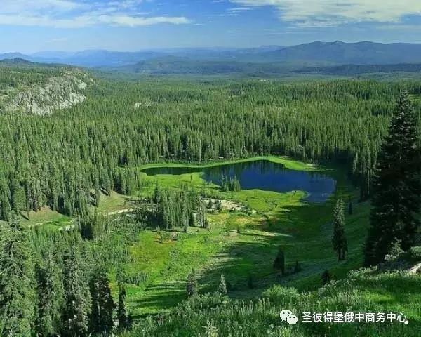 俄罗斯农业,城市,森林土地资源概况