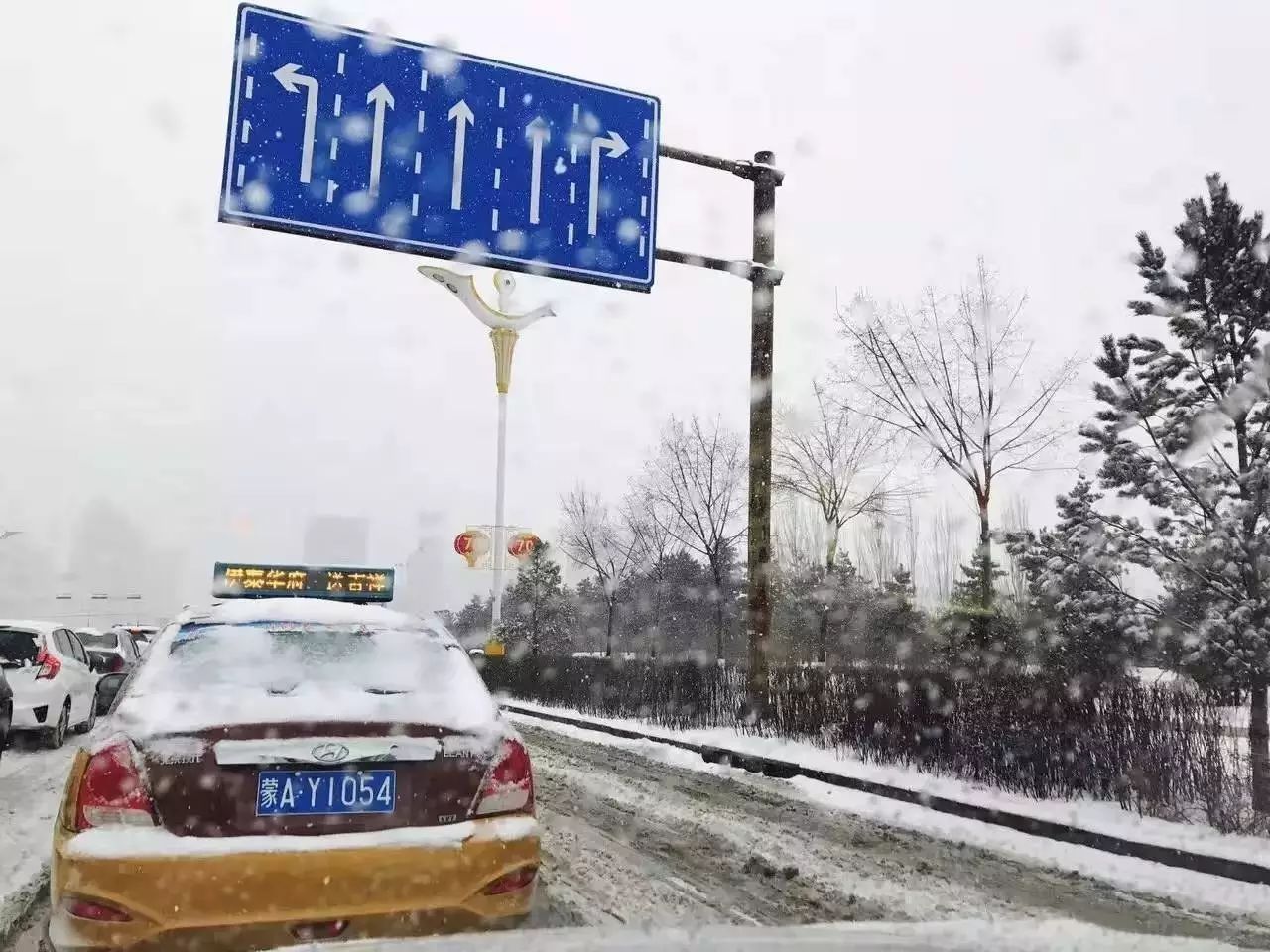 下雪了!!降央卓玛一首《我爱你塞北的雪》送给大家,好听!!