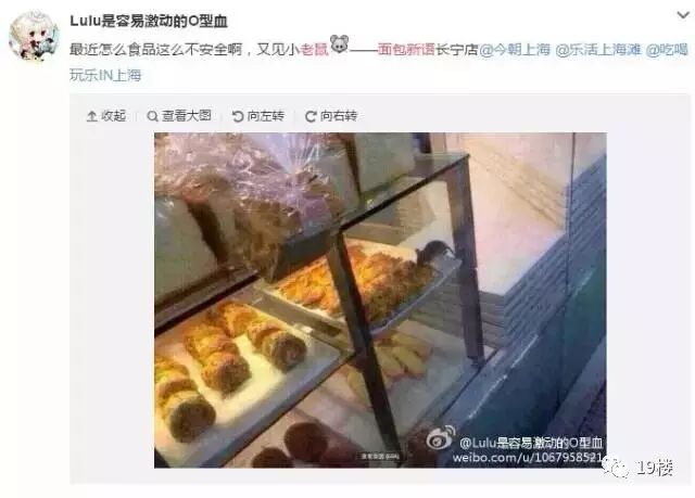 知名面包店内有活老鼠爬蛋卷 被要求销毁所有面包