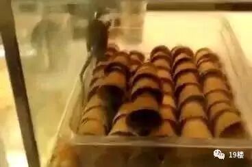 知名面包店内有活老鼠爬蛋卷 被要求销毁所有面包