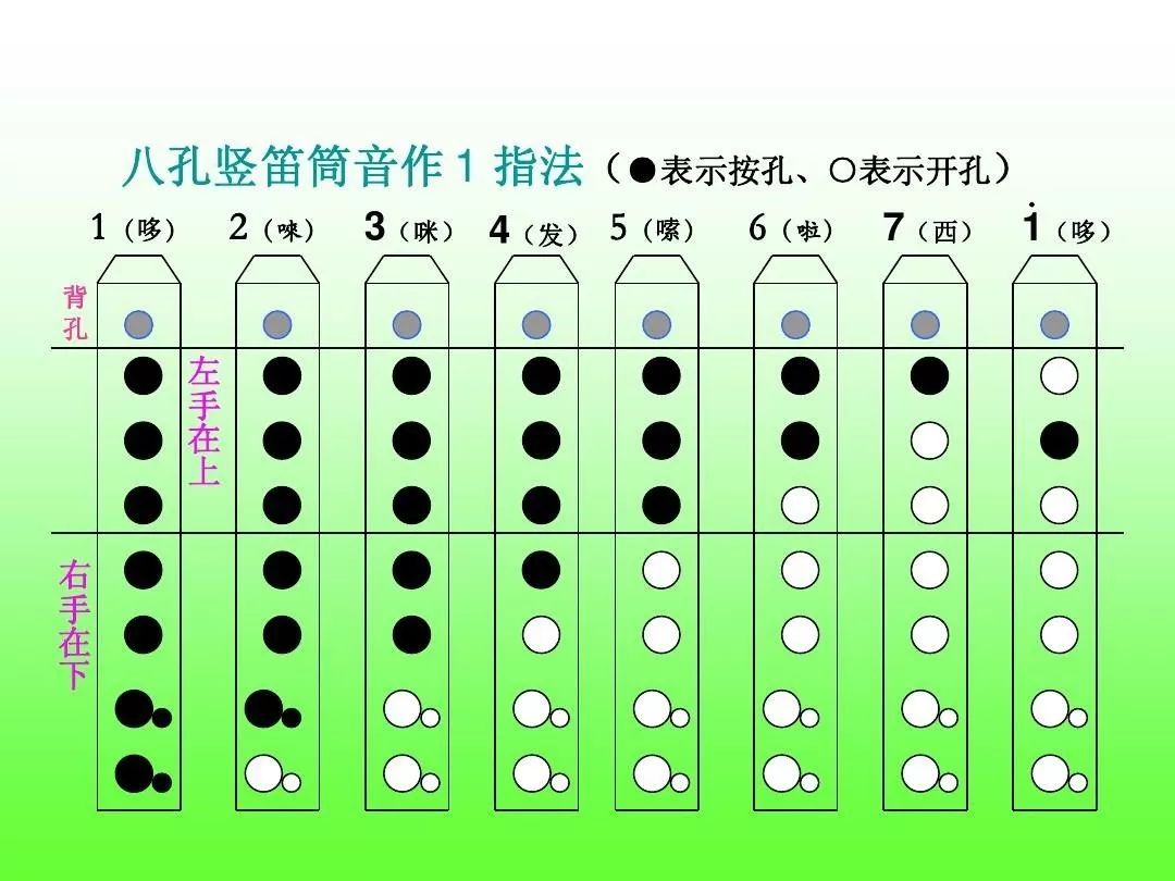 学吹竖笛——入门篇