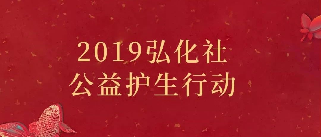 美丽中国:2019弘化社新春公益护生行动 | 福慧过年之一