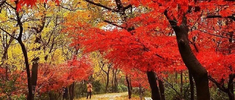 世事一场大梦，人生几度秋凉