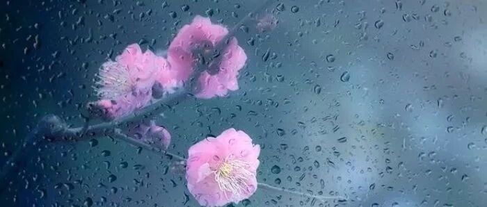 秋雨无痕，点点入心……