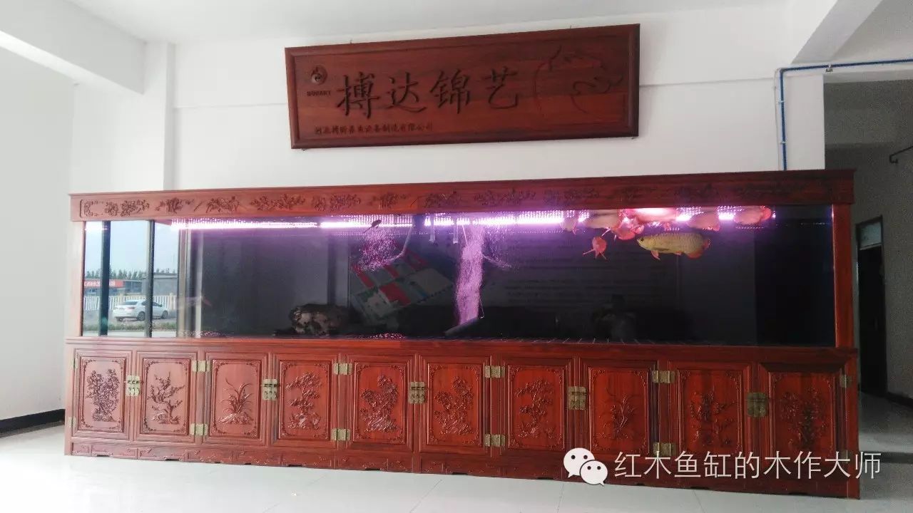 红木材质鱼缸收藏价值,河南水族箱价格交流组