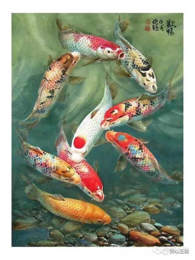 锦鲤是风水鱼的一种,因为寓意吉祥,有鲤鱼跃龙门的好兆头,因此受到