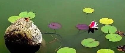 梦到恐怖的现象别怕，教你一招“调伏法”