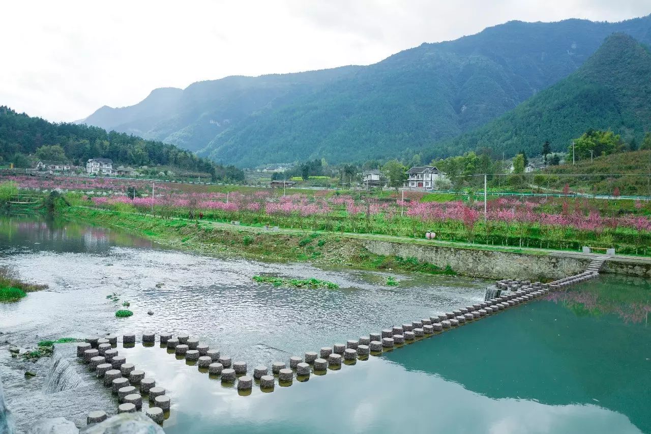 都说湄潭这里才是三生三世十里桃花的最佳拍摄地,果然