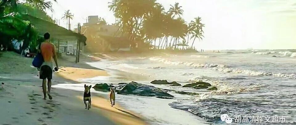 谢雨欣讲名言:简单地对待事物