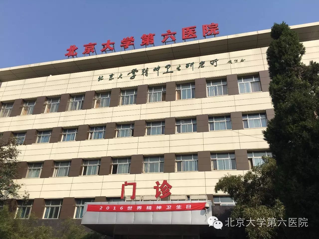 【世界精神卫生日专题】北京大学第六医院成功举行"心理健康社会和谐"