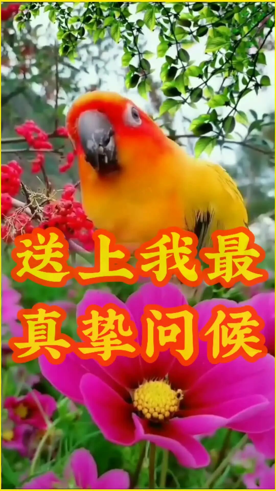 不用打字就可以聊天的图片【上】